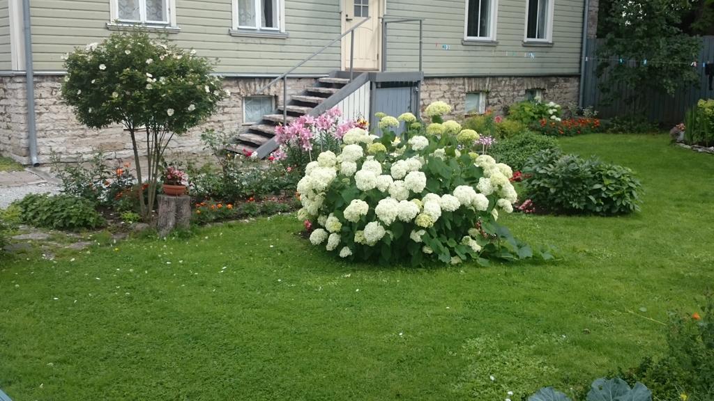 Matrix Garden Apartments Tallinn Rom bilde